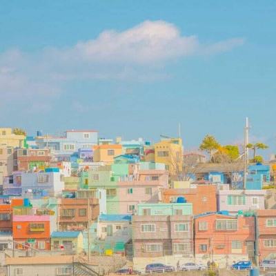 b体育官方app下载手机app下载截图